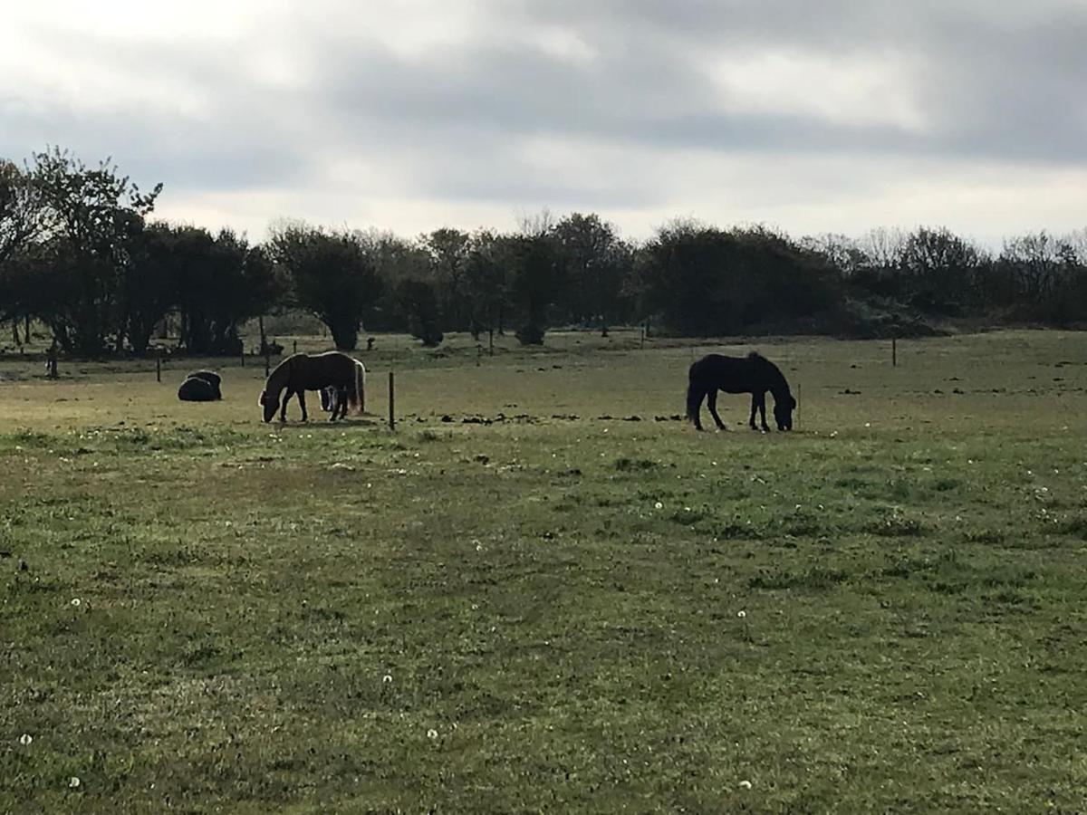 Bb-Vadehavet Ferielejlighed Til 6 Personer Ved Nationalpark Vadehavet Ribe Exterior foto